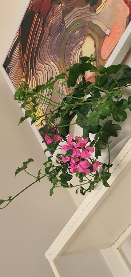 De Studio Homestay Hanoi Eksteriør bilde