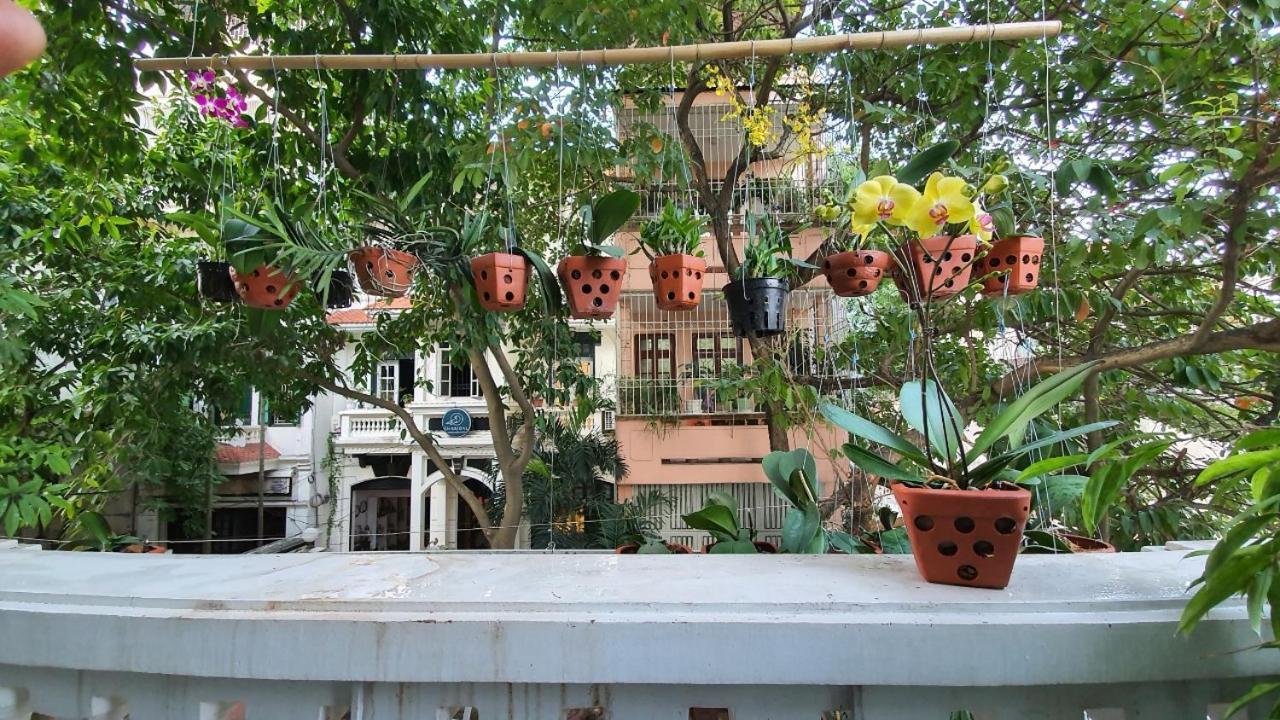 De Studio Homestay Hanoi Eksteriør bilde